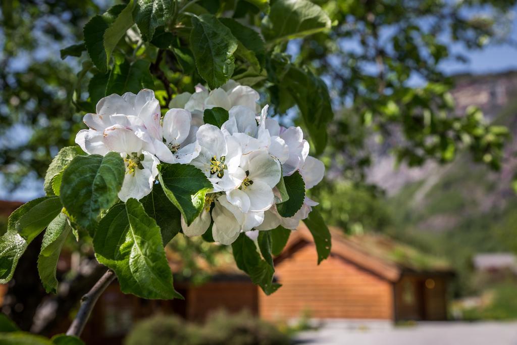 Gaupnetunet Hotell Og Hytter Luaran gambar